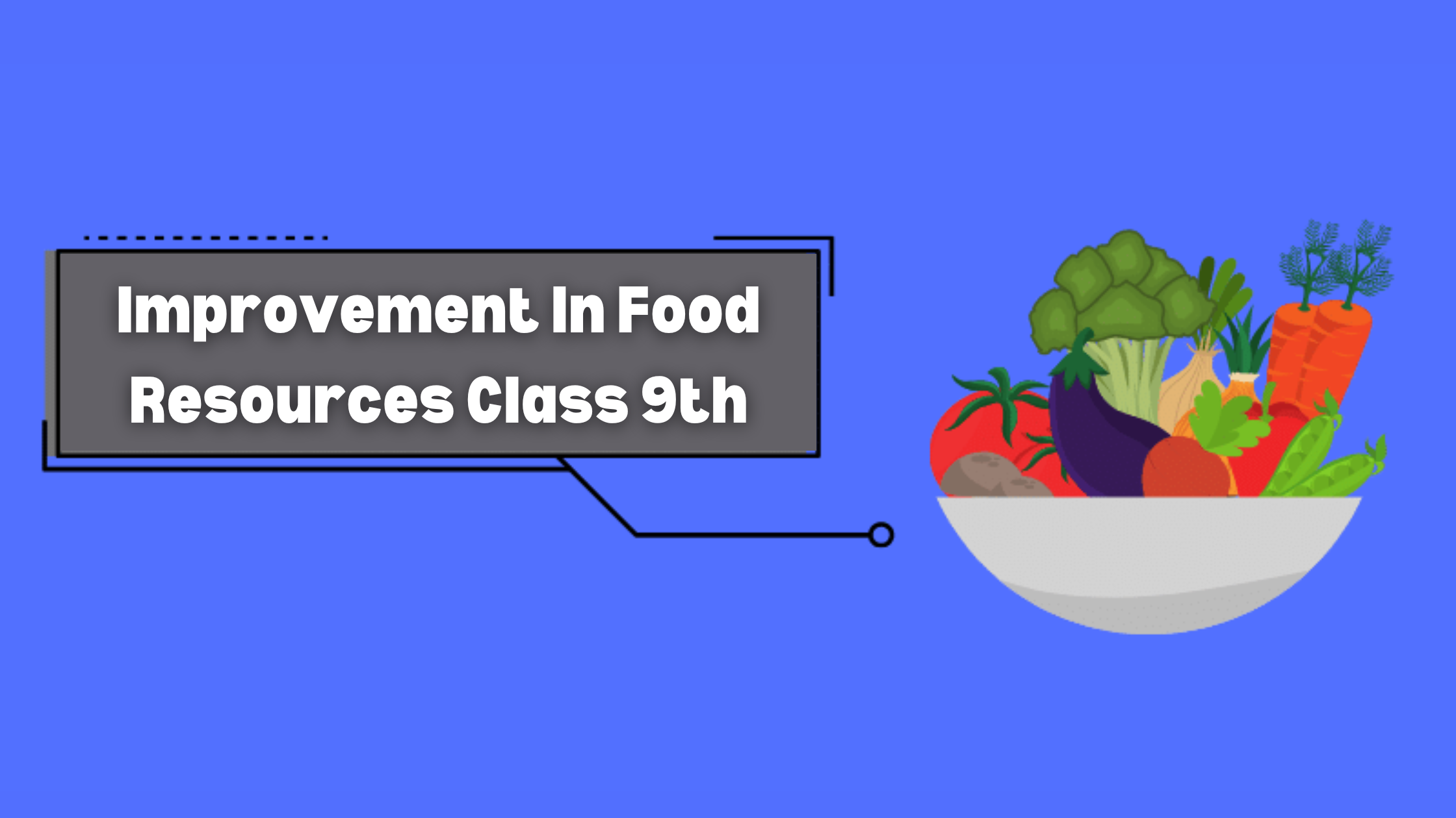 Improvement In Food Resources Class 9th