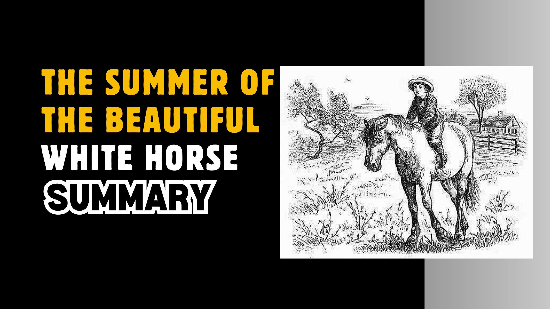 The Summer Of The Beautiful White Horse Summary