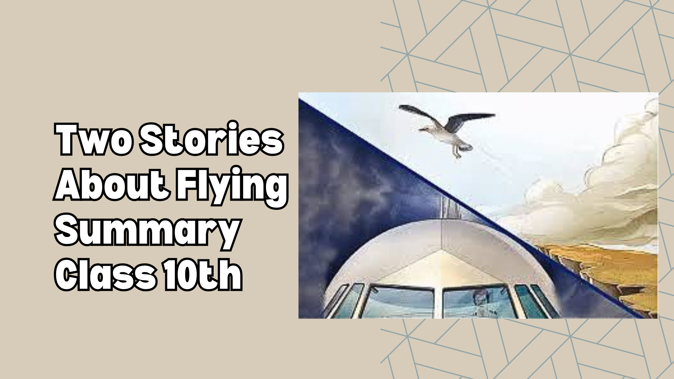 Two Stories About Flying Summary Class 10th