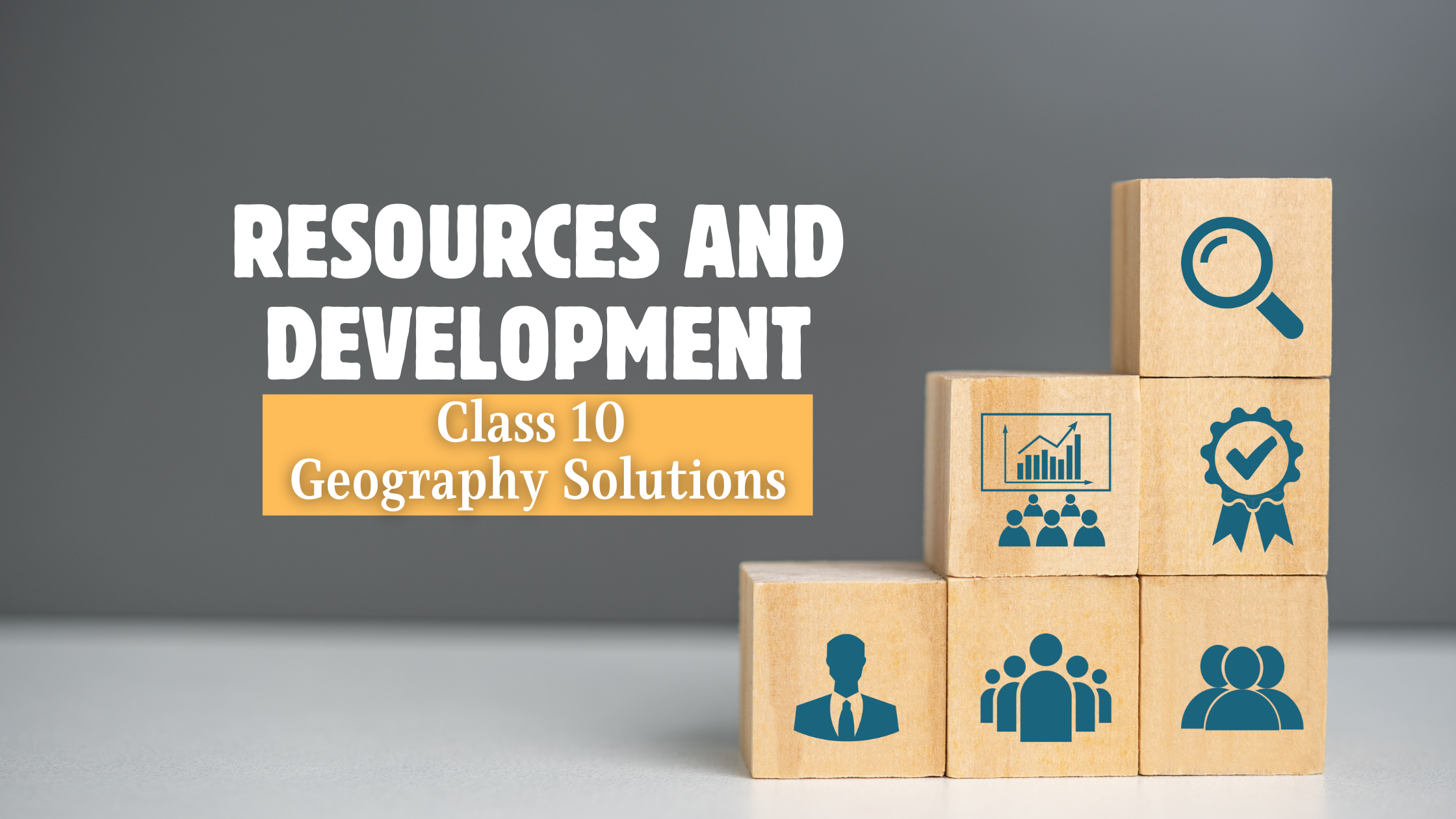 Resources and Development Class 10 Geography Solutions