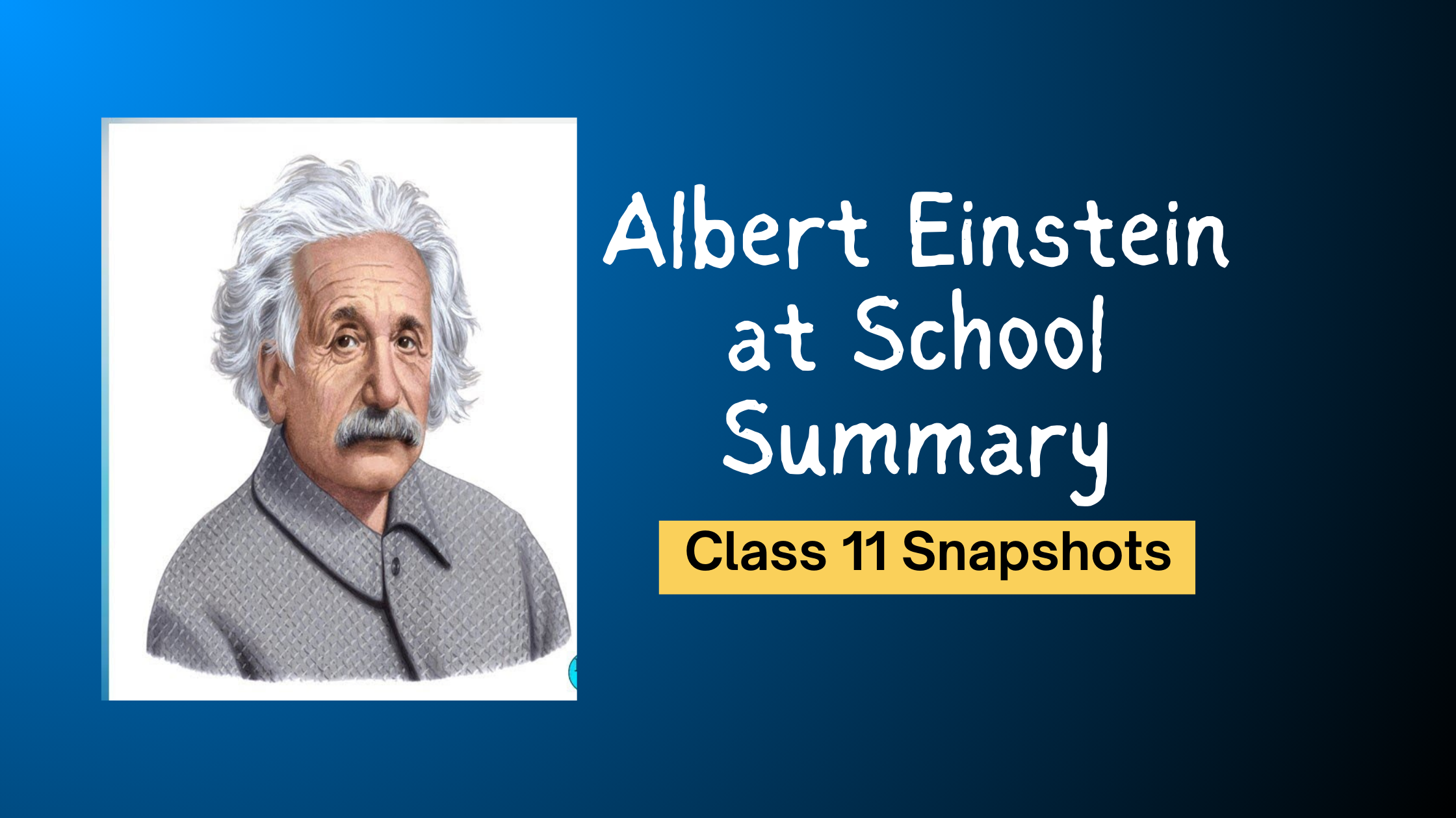 Albert Einstein at School Summary Class 11 Snapshots