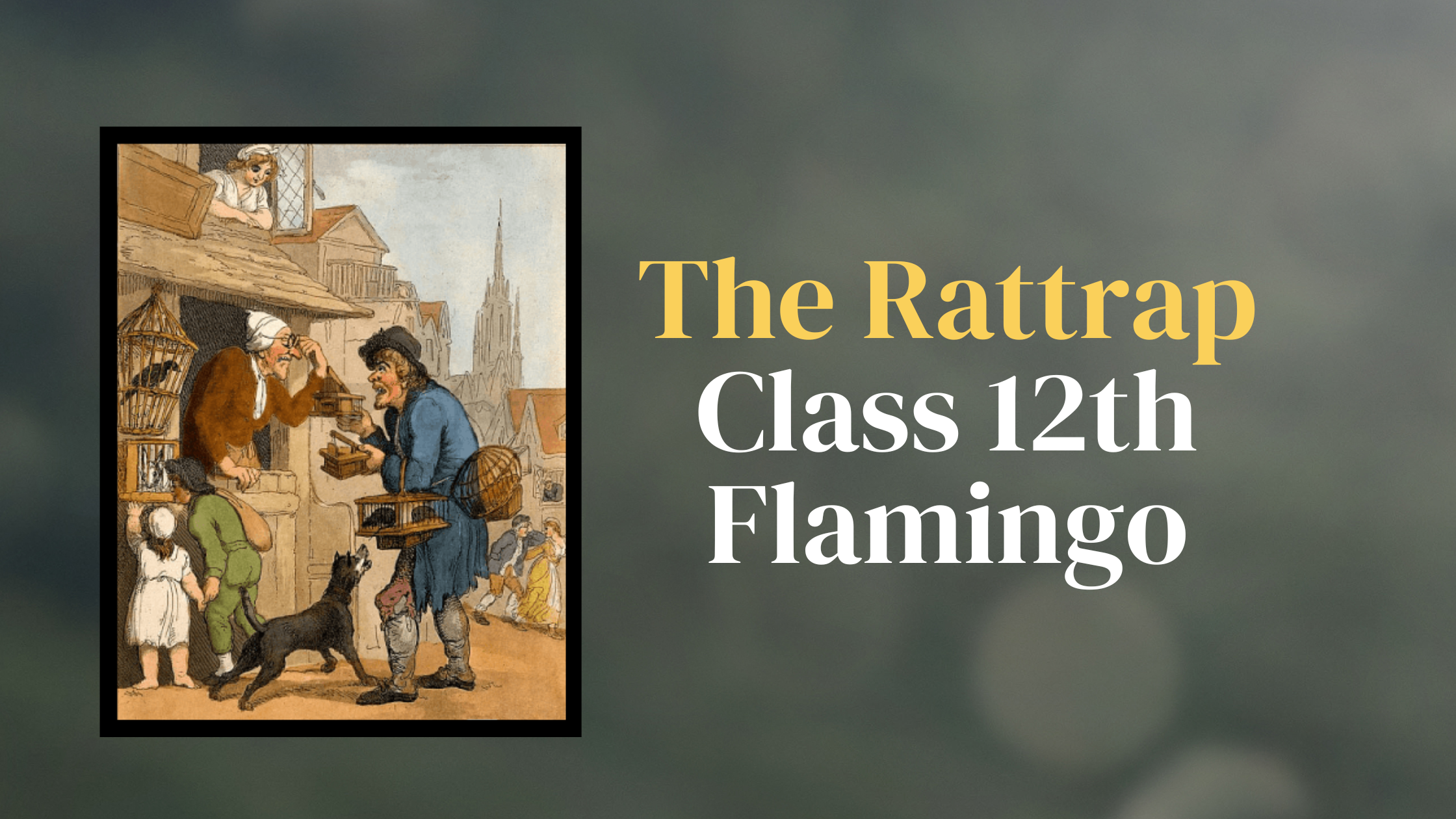 The Rattrap Class 12th Flamingo