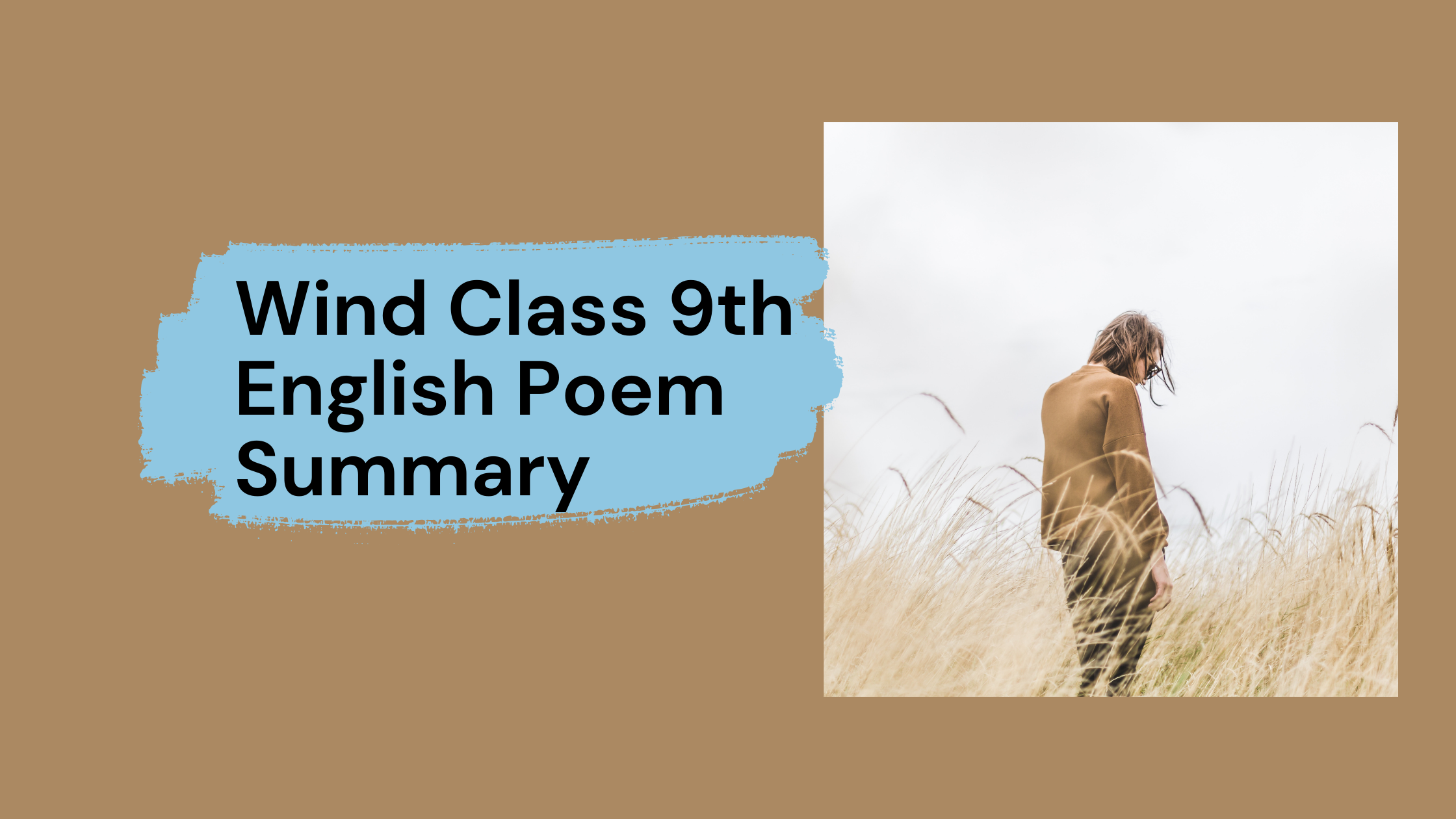 Wind Class 9th English Poem Summary