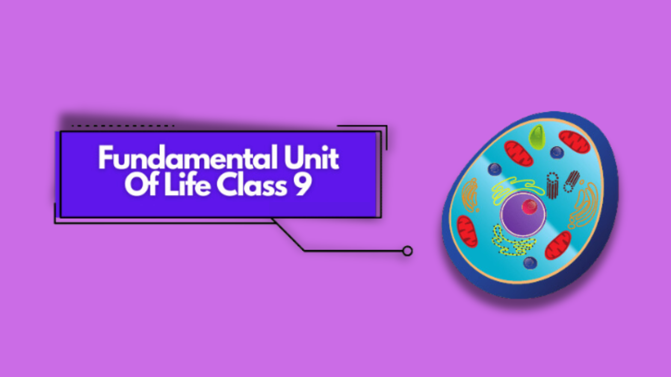 The Fundamental Unit Of Life Class 9 Science Chapter 5